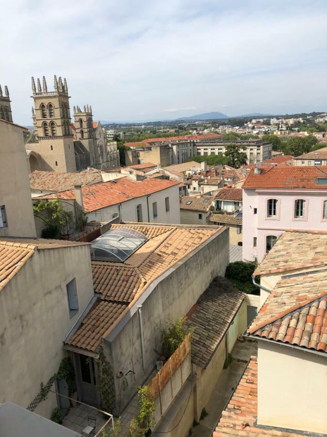 Sous Le Toit Pres De La Cathedrale St.Pierre Apartment Montpellier Bagian luar foto